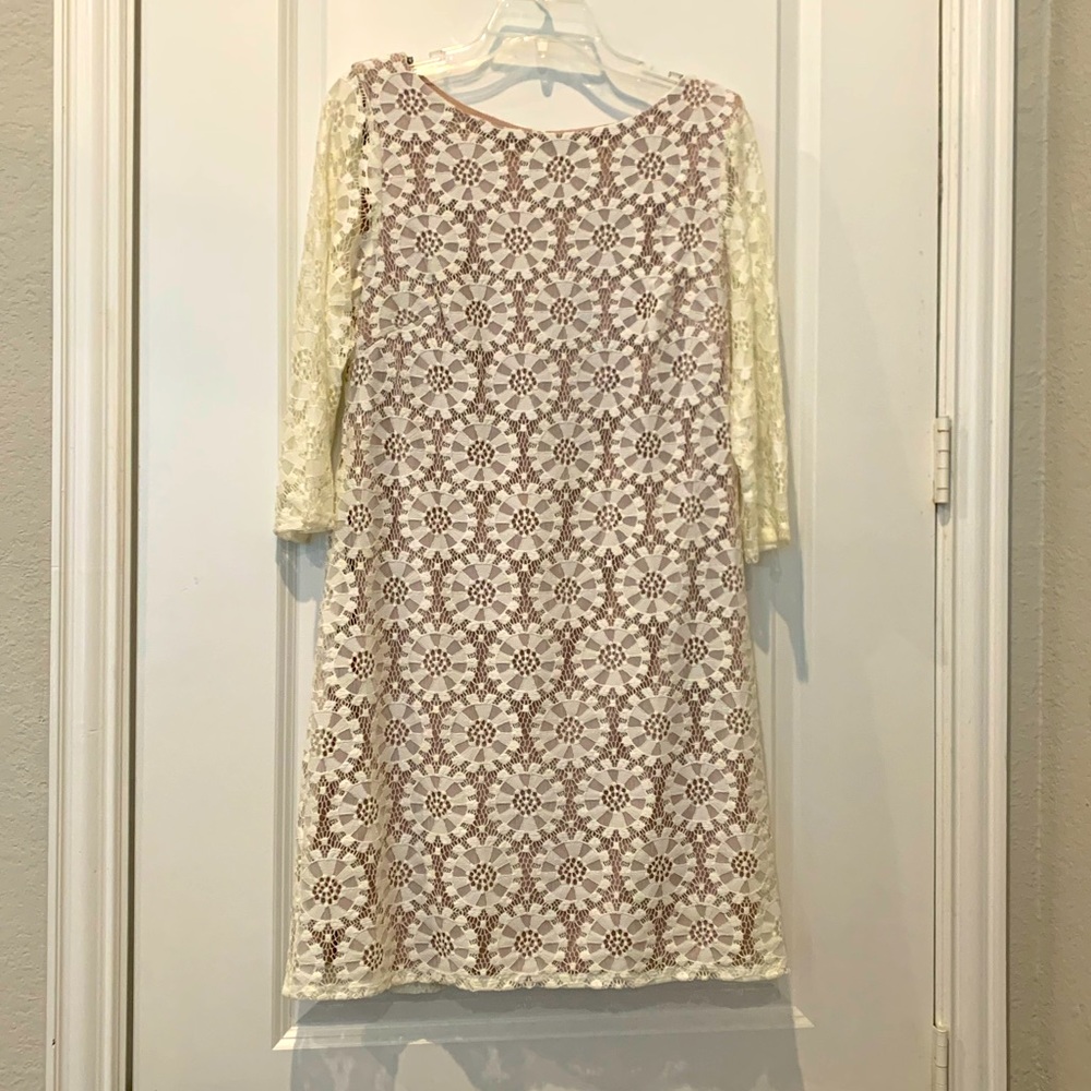 Vince Camuto, off white, knee length, lace dress